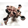 DJI FPV - SKIN - Design: Desert Camo + Goggles