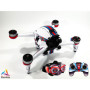 DJI FPV - SKIN - Design: Martini-FPV + Goggles