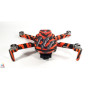 DJI MINI 2 - SKIN - DESIGN: TIGER
