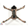 DJI MAVIC AIR 2 - SKIN - DESIGN: DESERT CAMO - Folie / Decal / Wrap / Foil